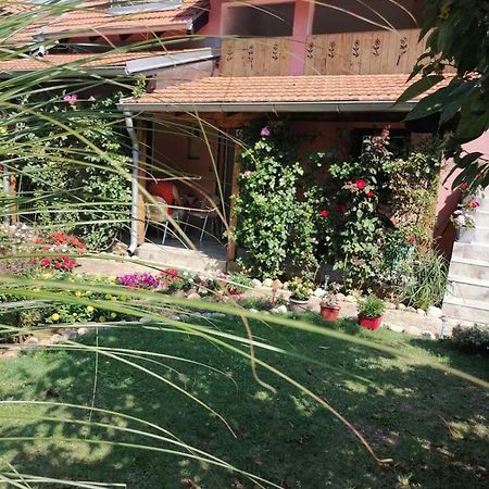 Apartman Mika Soko Banja Dış mekan fotoğraf