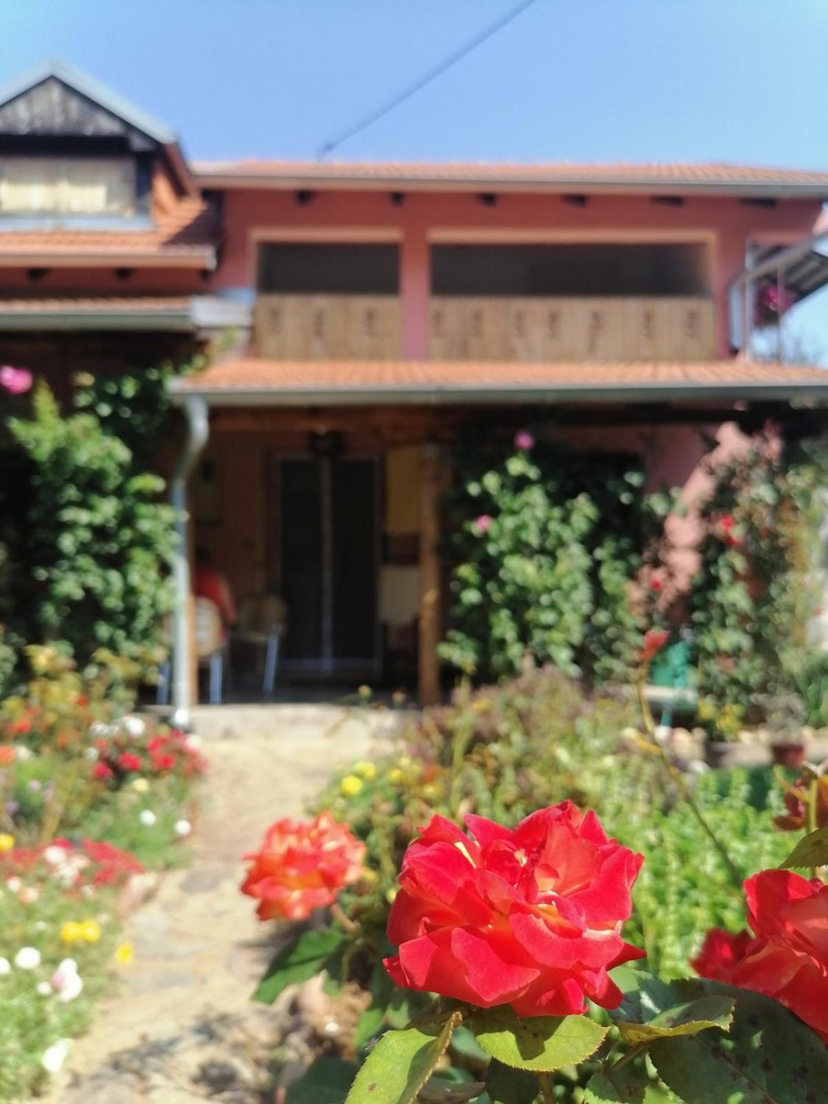 Apartman Mika Soko Banja Dış mekan fotoğraf