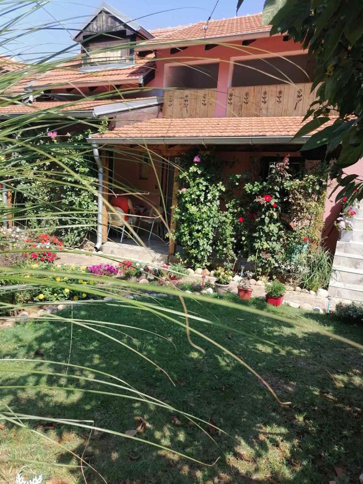 Apartman Mika Soko Banja Dış mekan fotoğraf